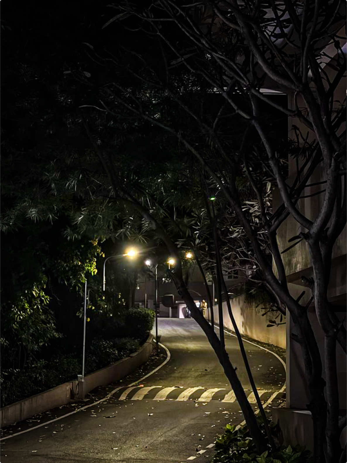 @𝑻𝒂̂𝒏 𝑻𝒉𝒊