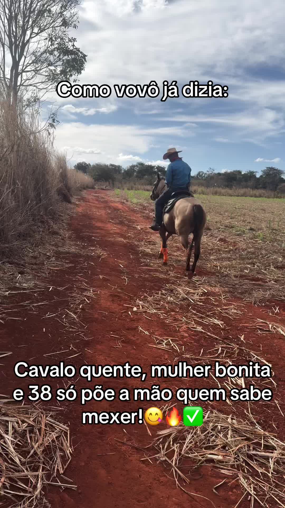 @mateusandrade9837