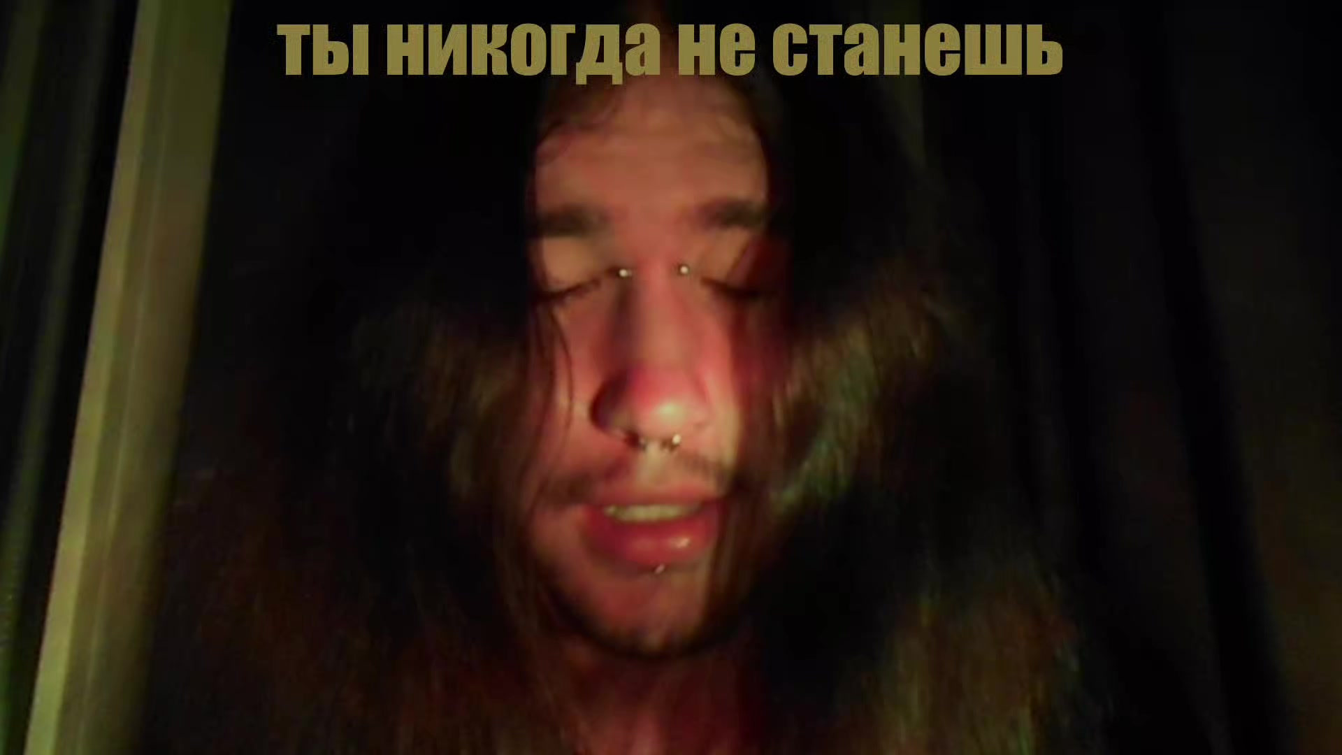 @тыща бродячих собак