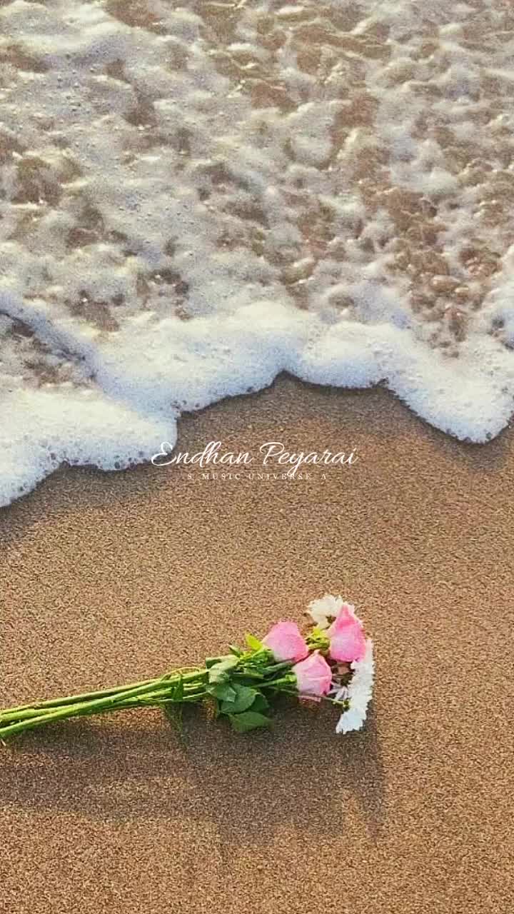 @&hearts;𝙈𝙐𝙎𝙄𝘾 𝙐𝙉𝙄𝙑𝙀𝙍𝙎𝙀&hearts;