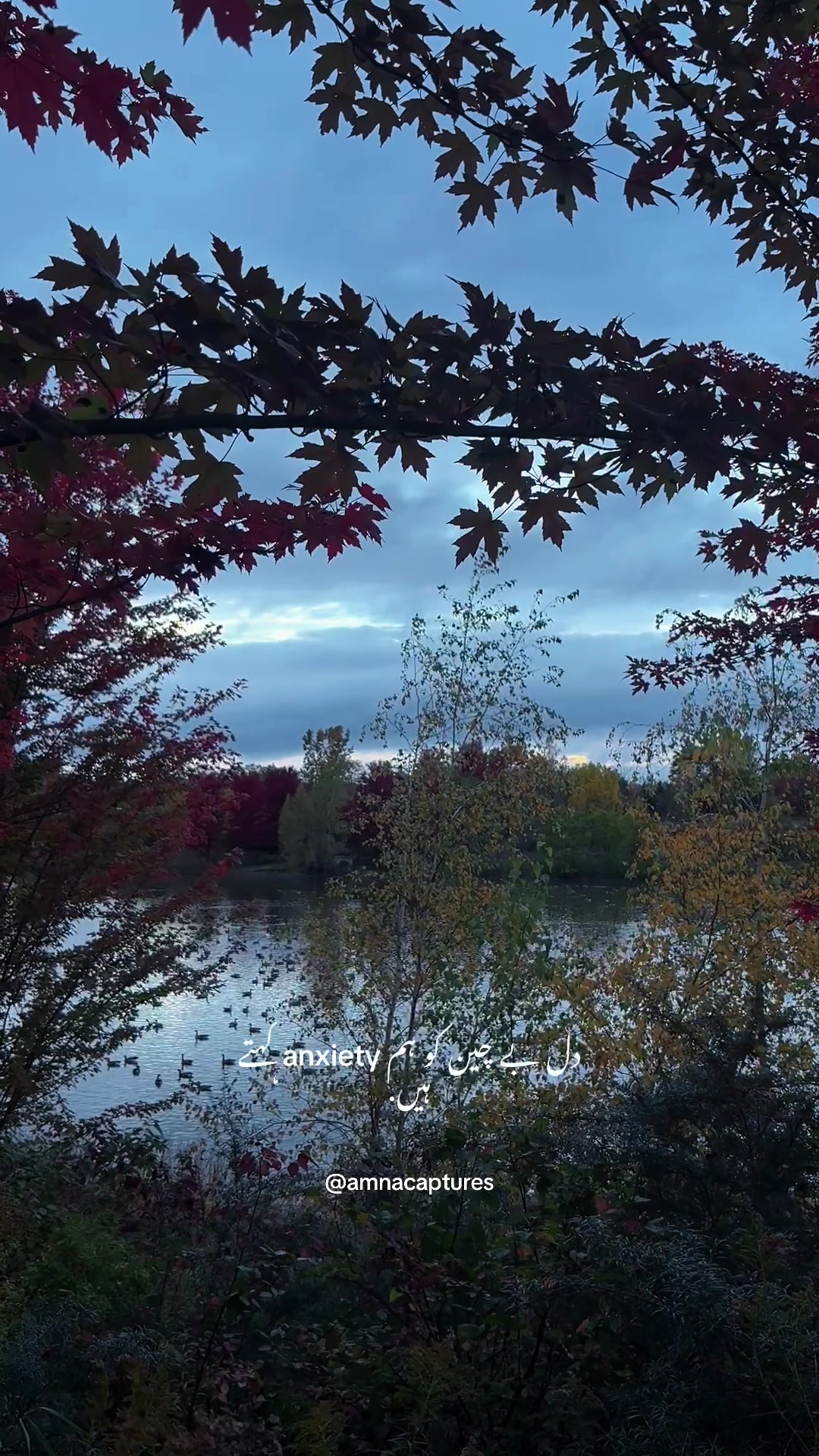 @Nature lover 🇨🇦