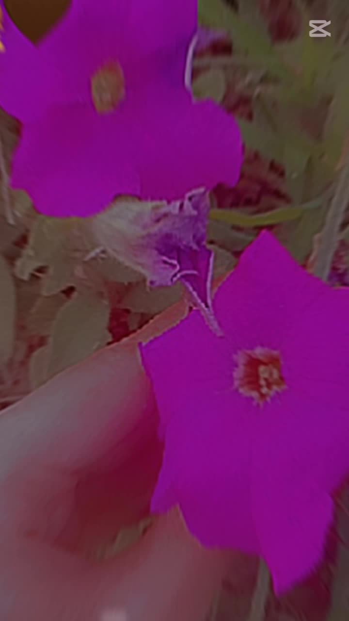 @ꪑꪖ᥅ꪗꪊꪑ ꪖꪀᦓꪖ᥅ﺃ ❤️
