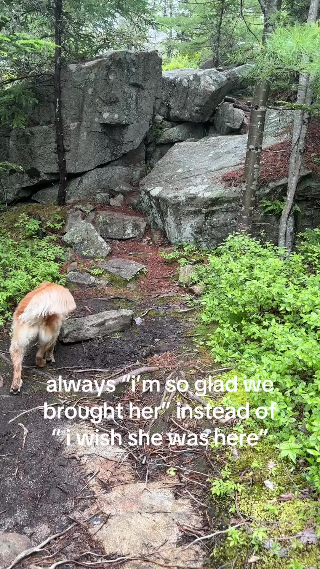 @Ellieee