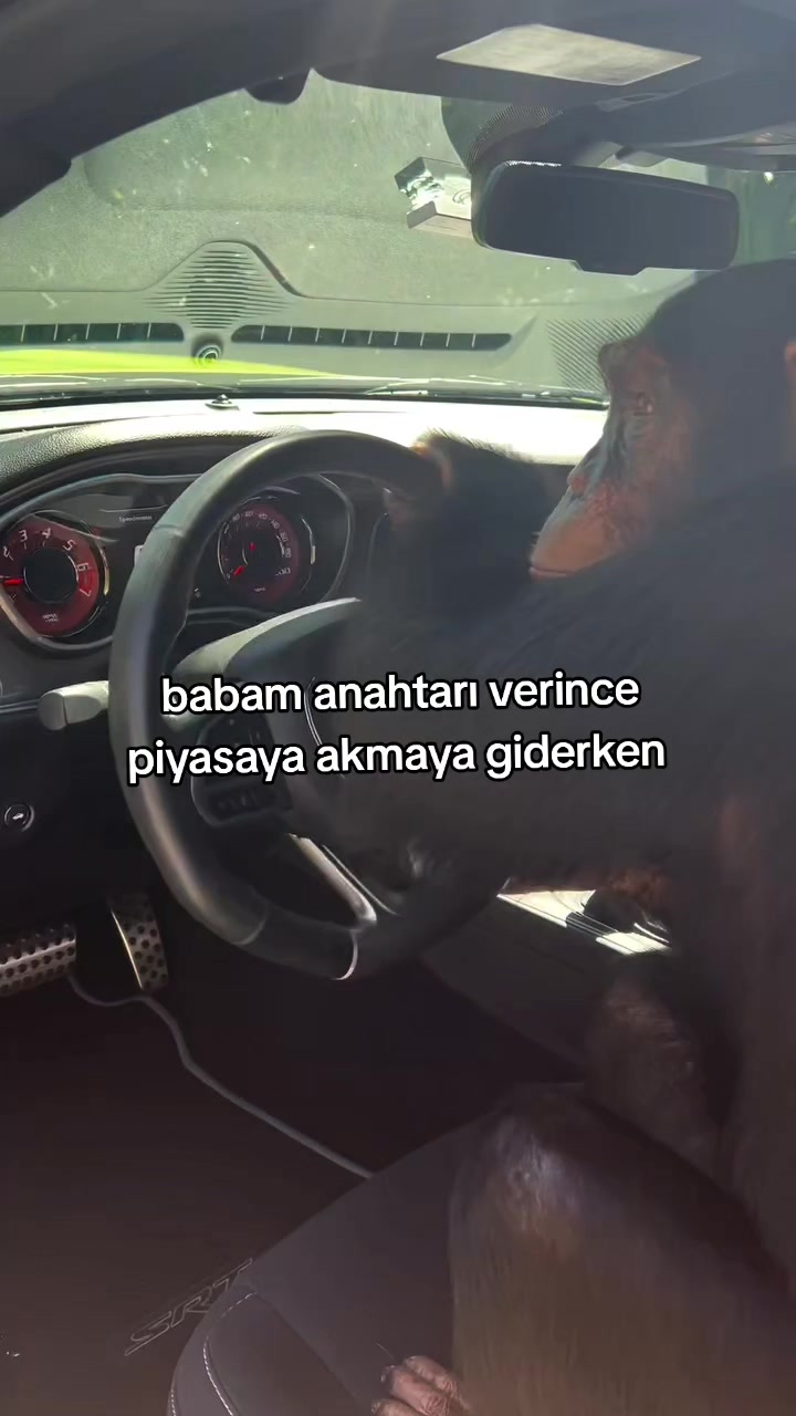 @rolland