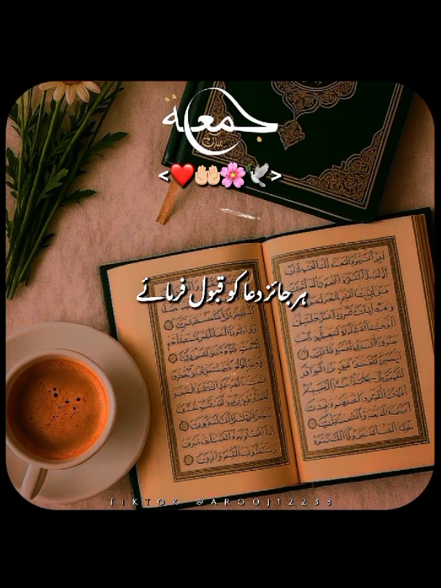 @Arooj 🦋🌼