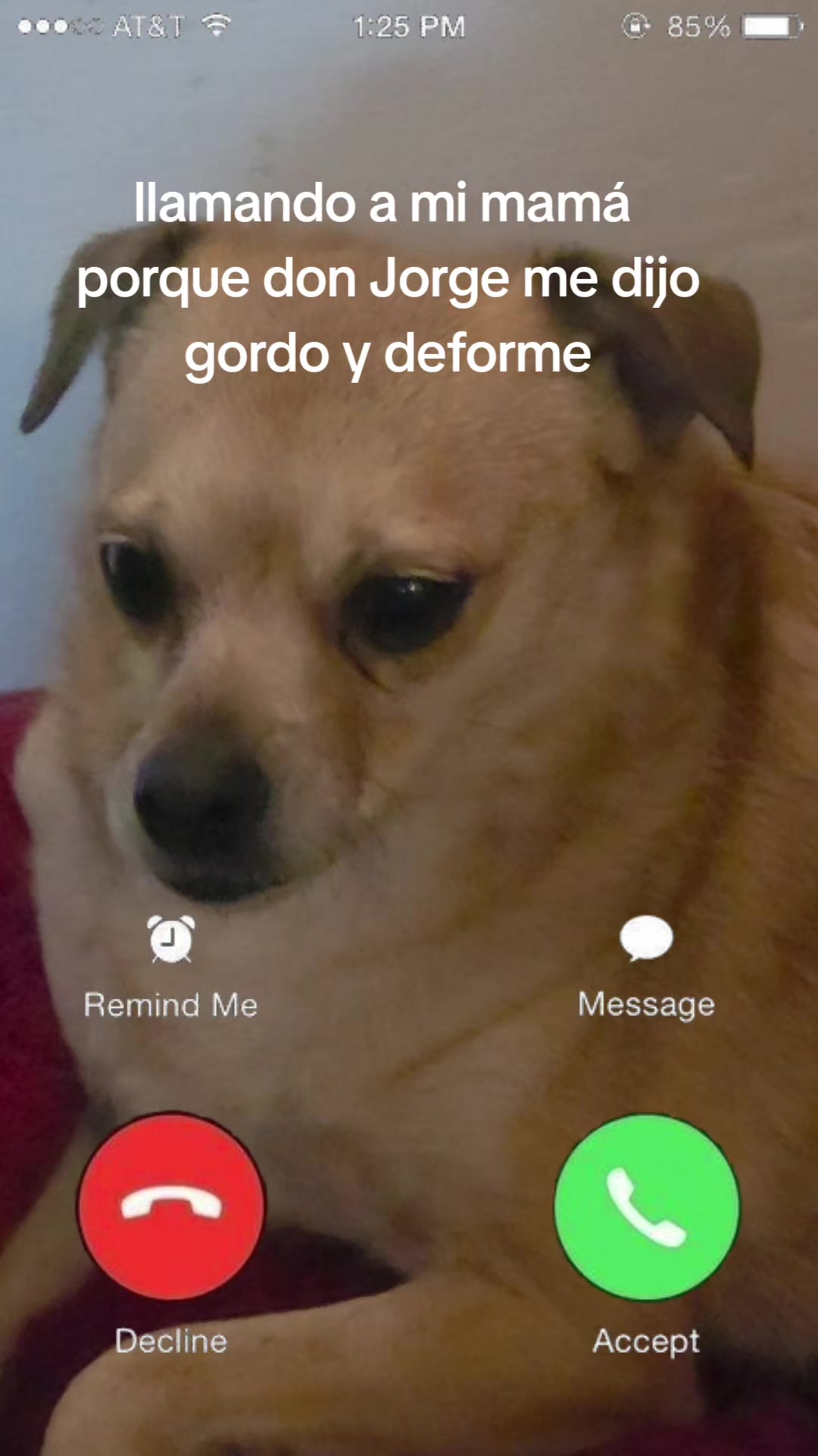 @Fernanda Diez