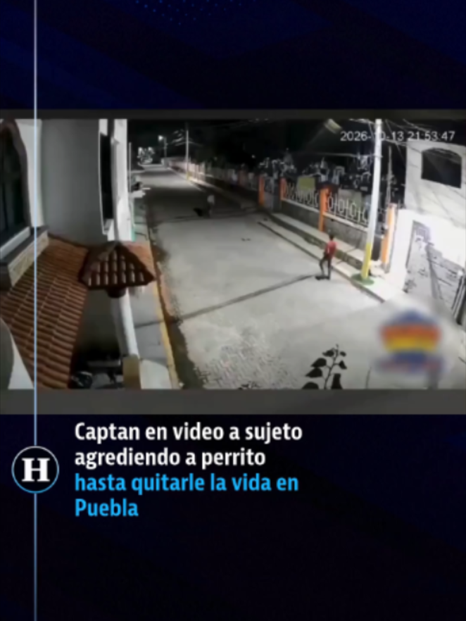 @elheraldodemexico