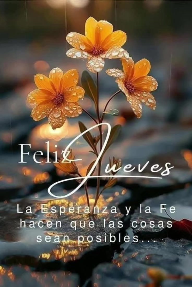 @Linda Garcia