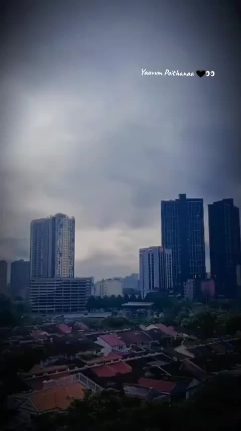 @达尔希尼 ➷♡ 🖤🪽