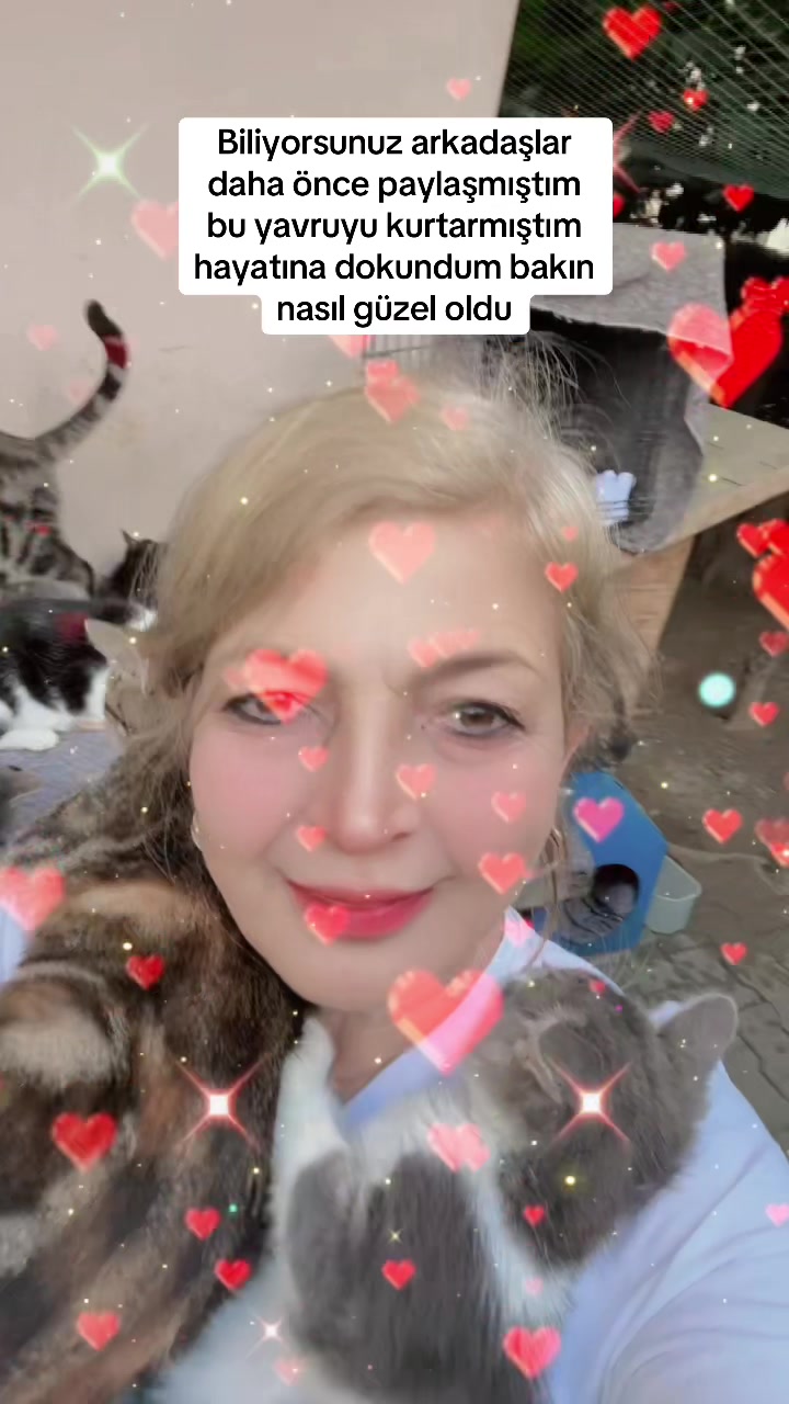 @Gönülünpatileri