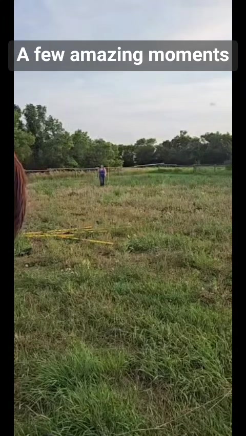 @Barrel Racing Journey