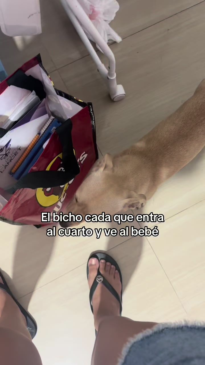 @Perlaarevalo2002