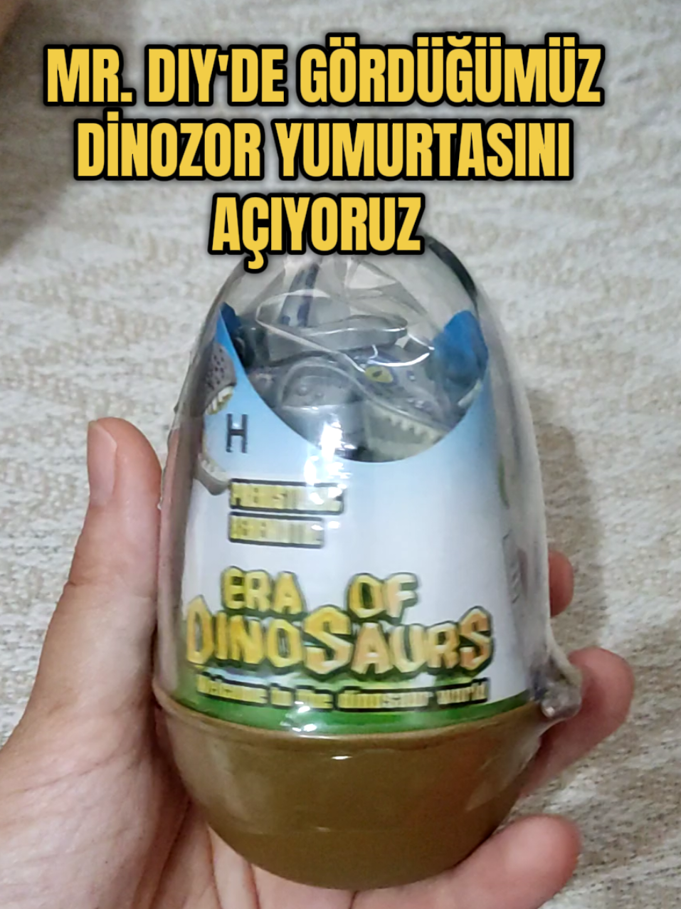 @S&uuml;rpriz kutusu 💕