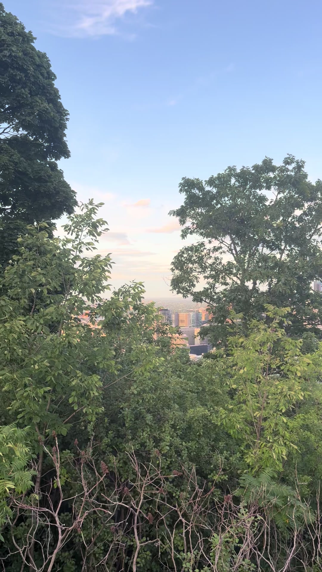 @TopOfTheWorldInuk17