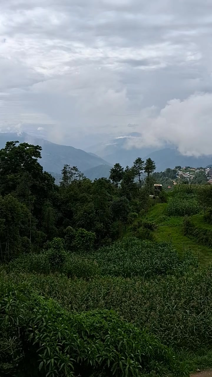 @Tula❤️