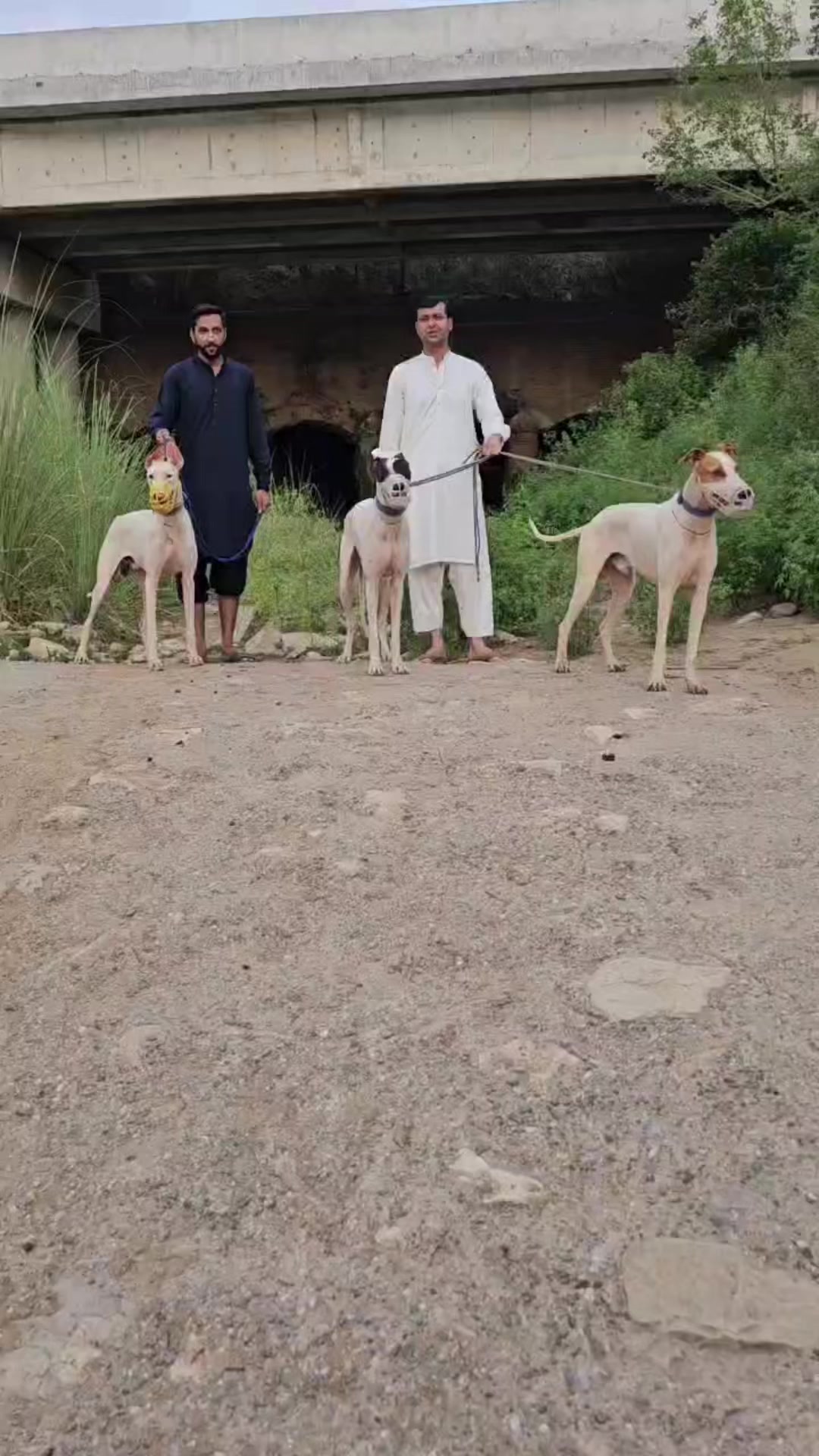@جٹ ہنٹنگ کلب گڑھا جٹاں
