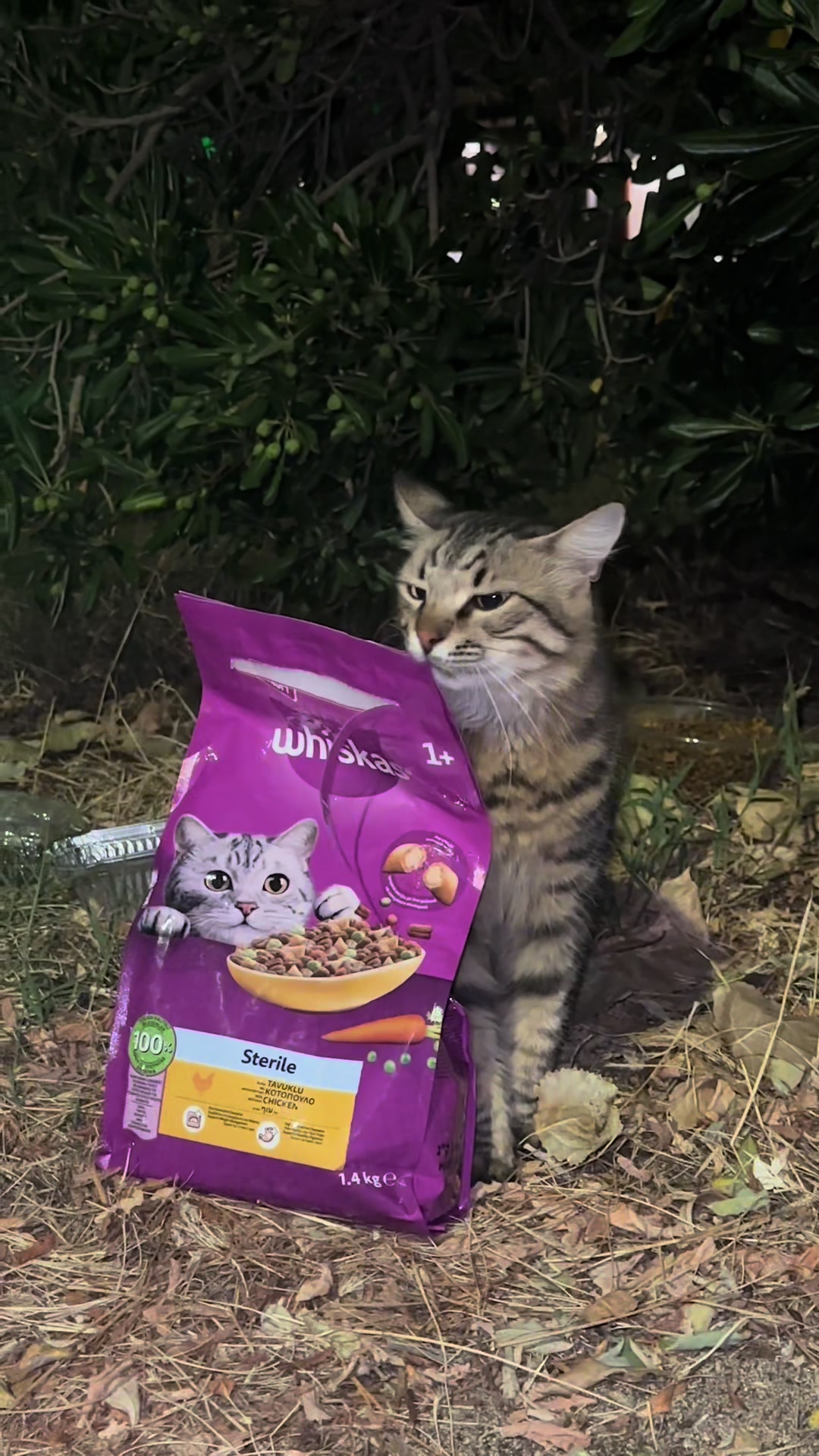 @𝑲𝑹𝑰𝑺.𝑲𝑰𝑷𝑬🐆