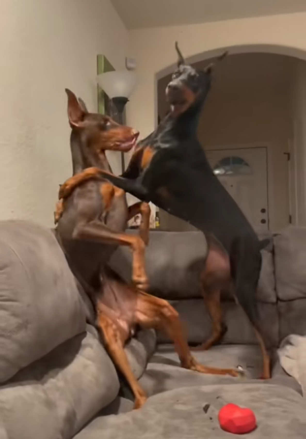 @Zakiya & Mazikeen