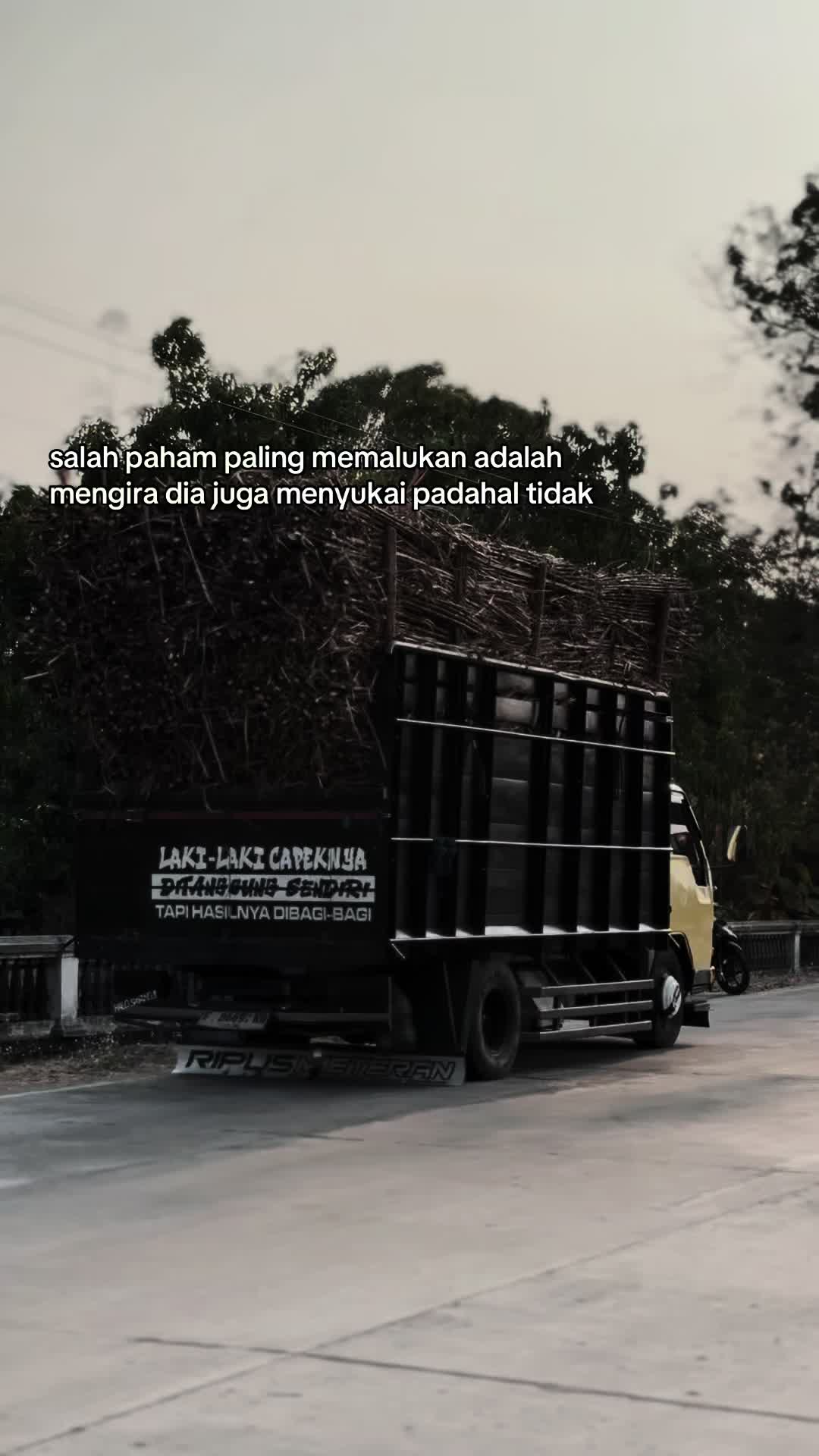 @𝐇𝐚𝐲 𝐥𝐨𝐧𝐠