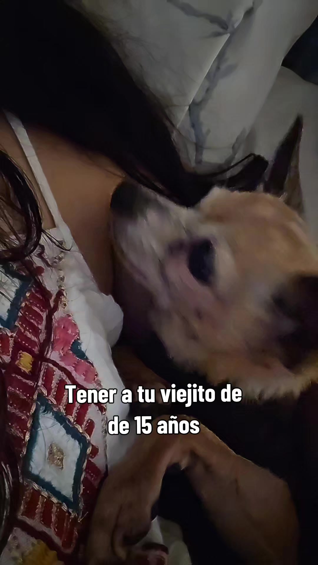 @Alyss Wonder