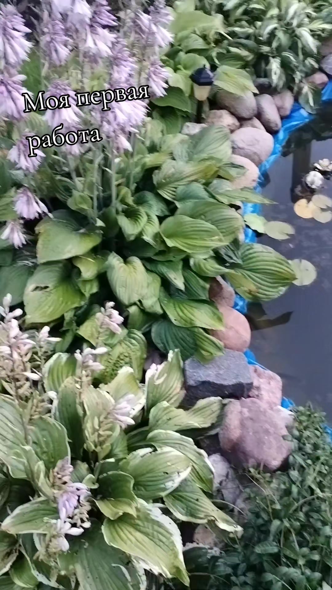 @Elena_7377