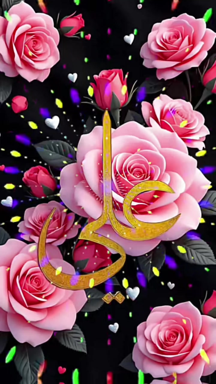 @malikmalik Yunus