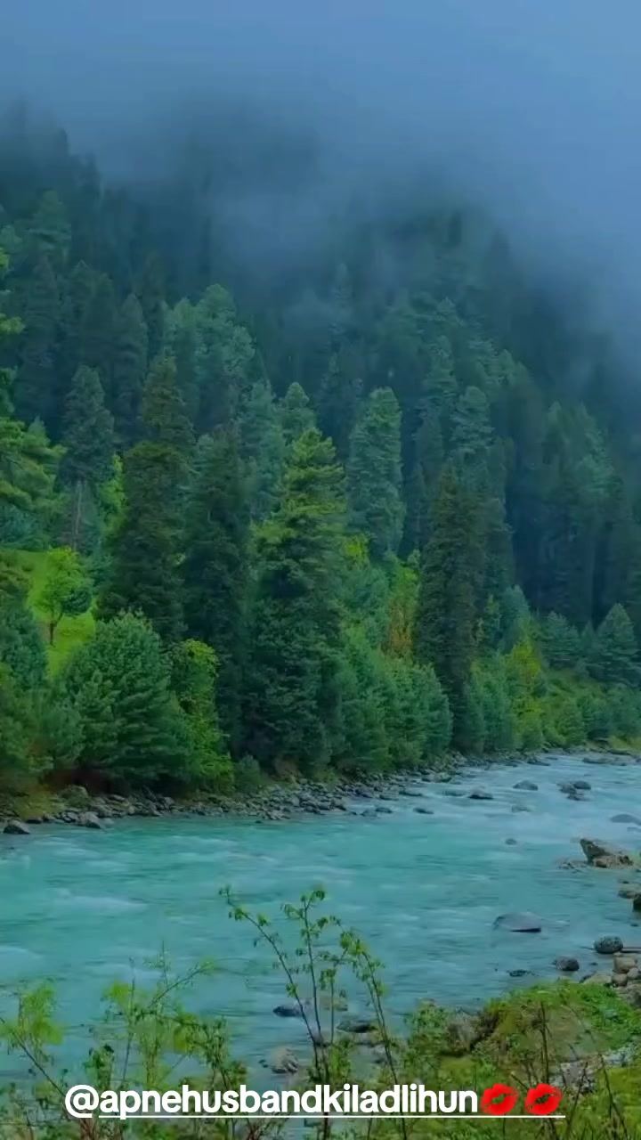 @Nature vibes