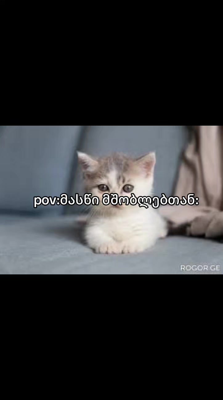 @NINIKO๐