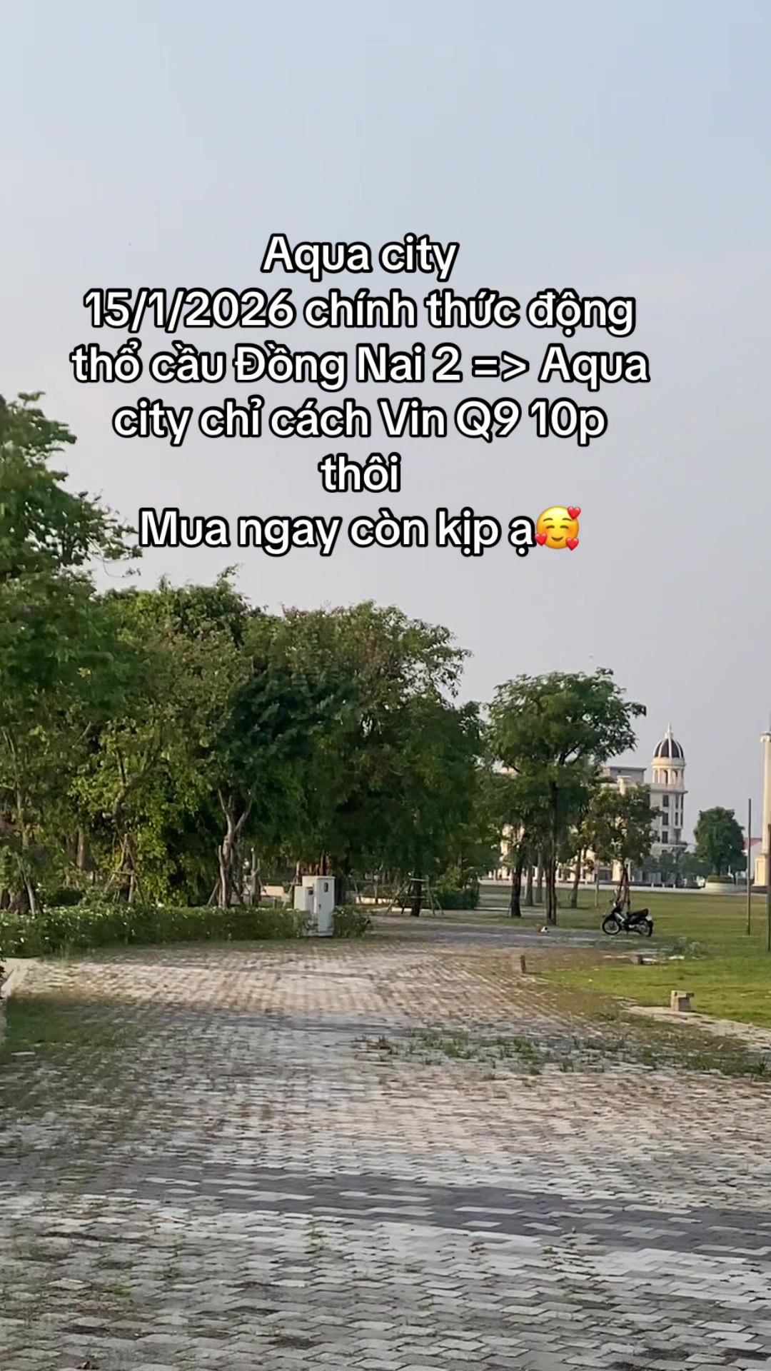 @Dương Hạnh