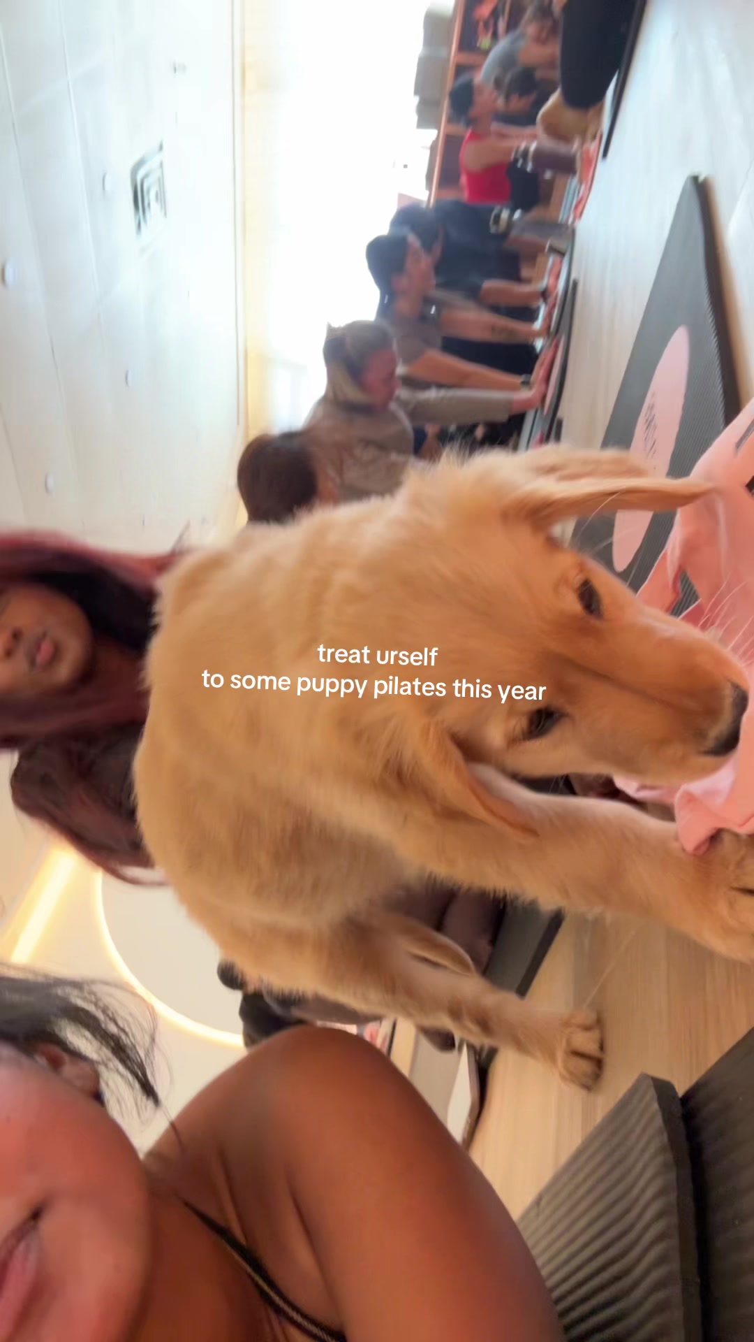 @thipashini