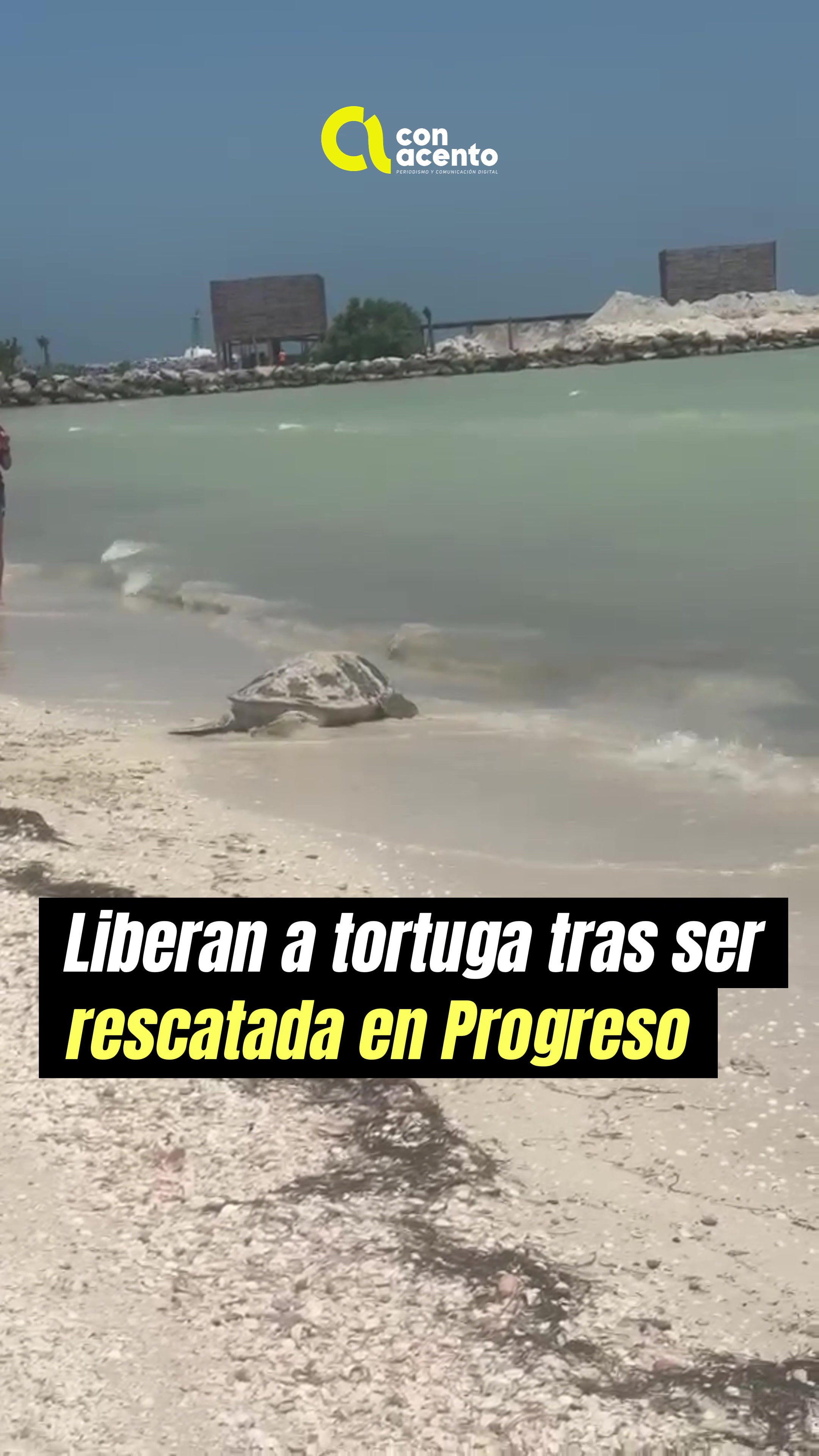 @Con Acento