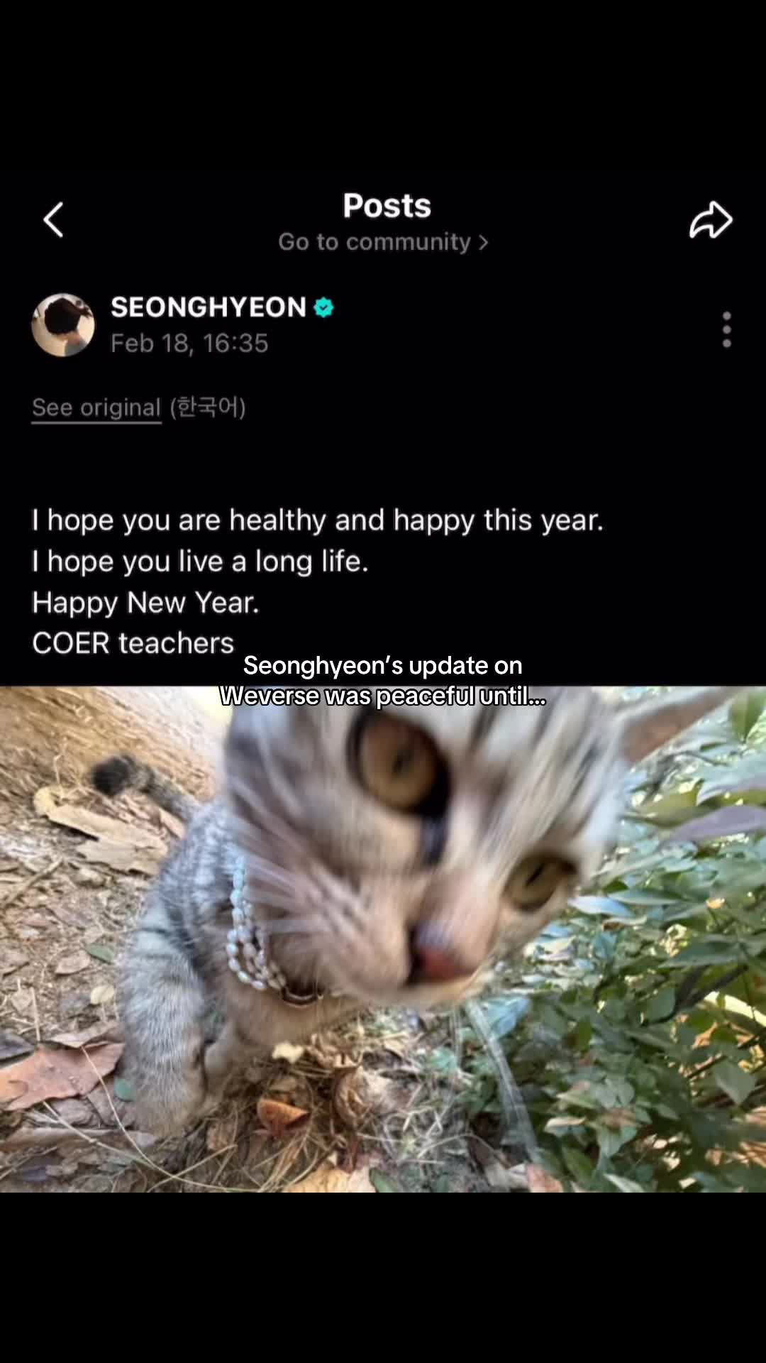 @keonho’s lil bro