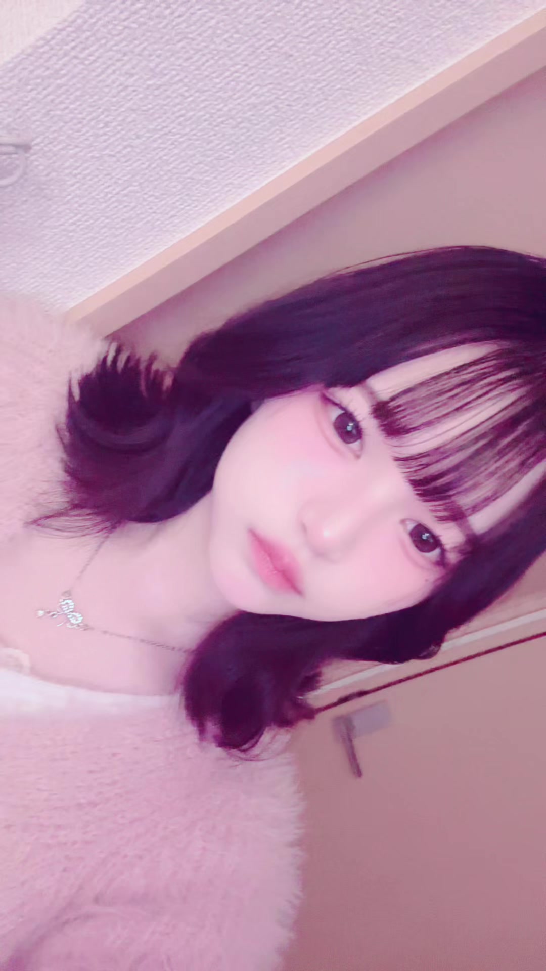 @せんちゃん