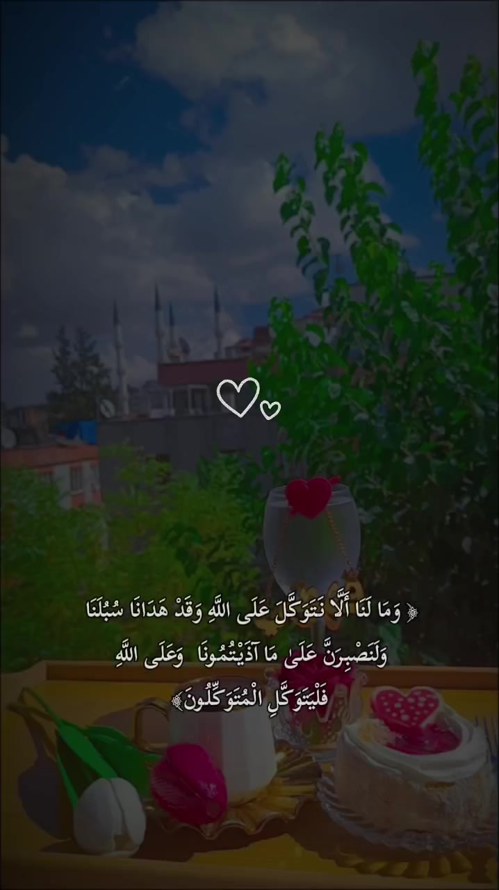 @☺️🌷زهرة حلب 🌷☺️