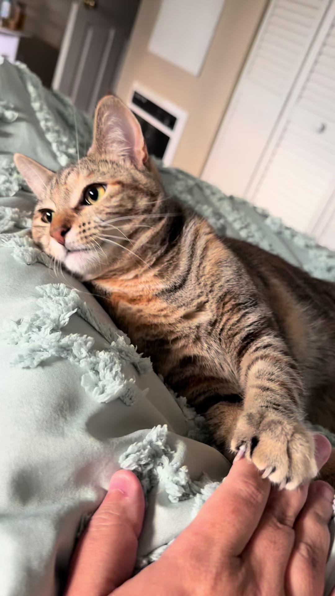 @KrazyKatz