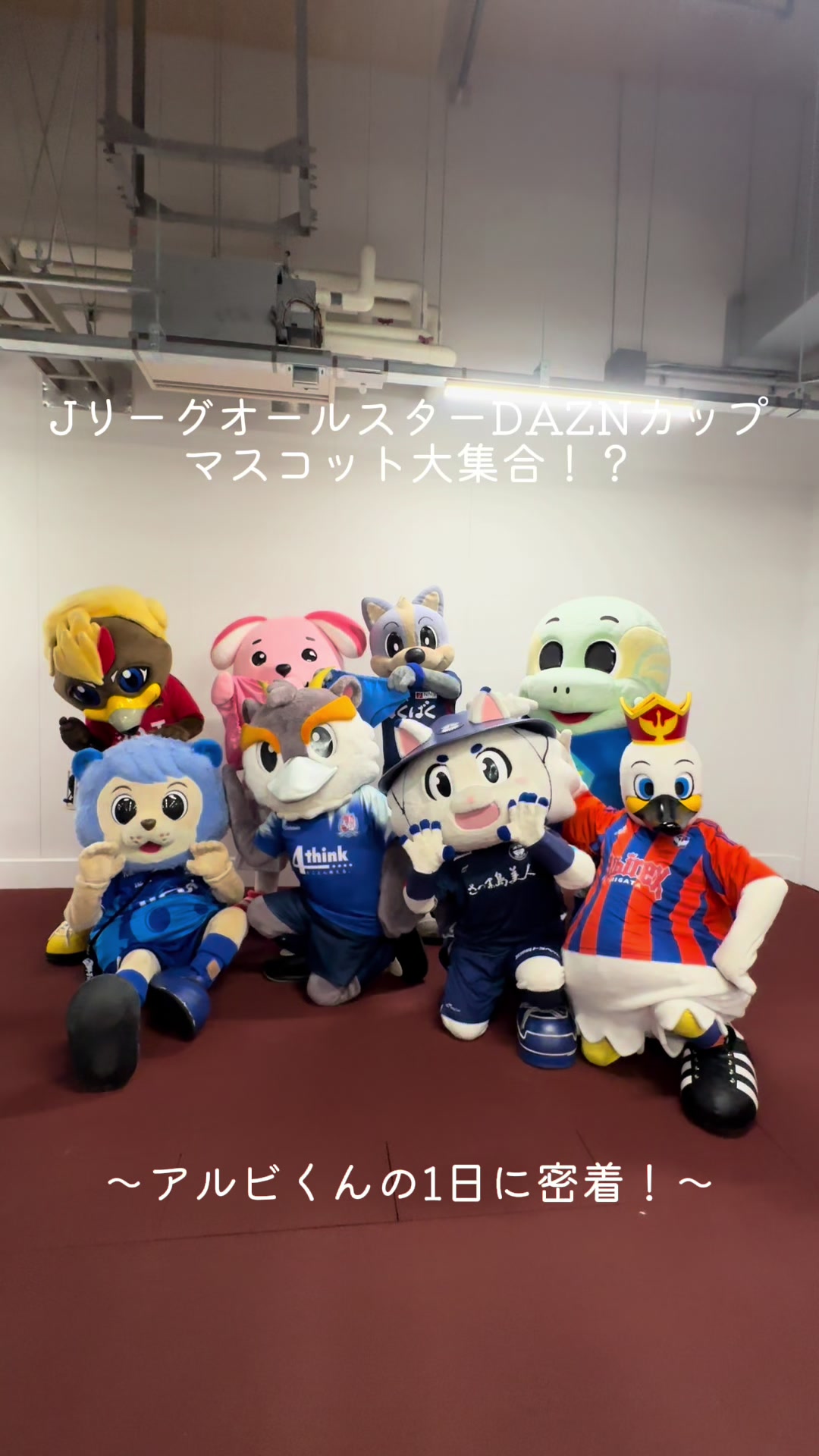 @アルビレックス新潟【公式】