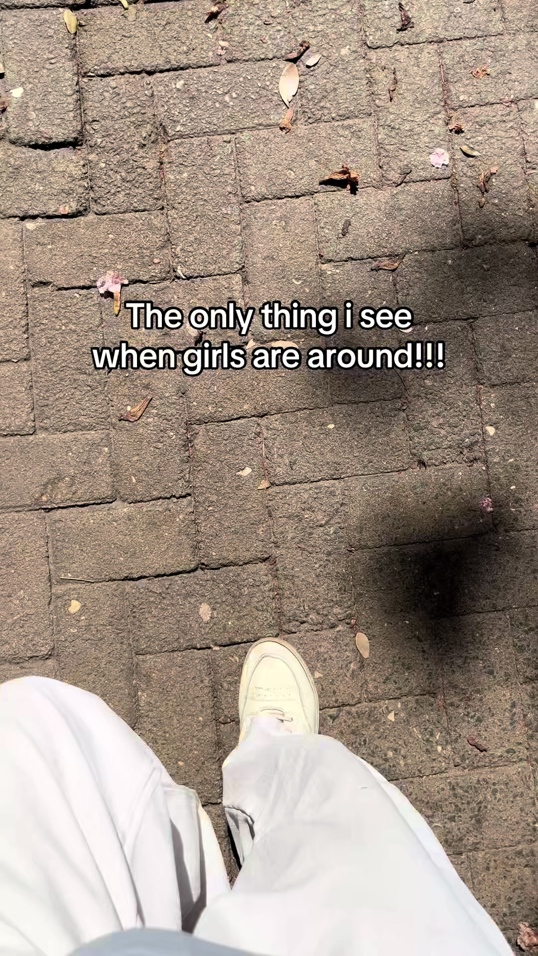 @Its Me Shroudy