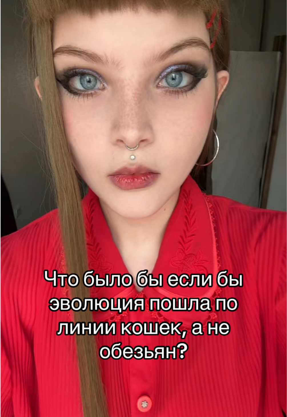 @belfegor