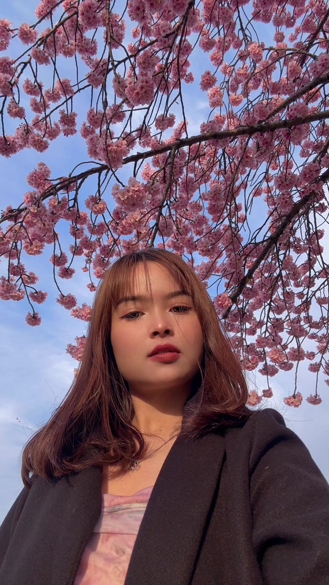 @ichigomiruku🍓
