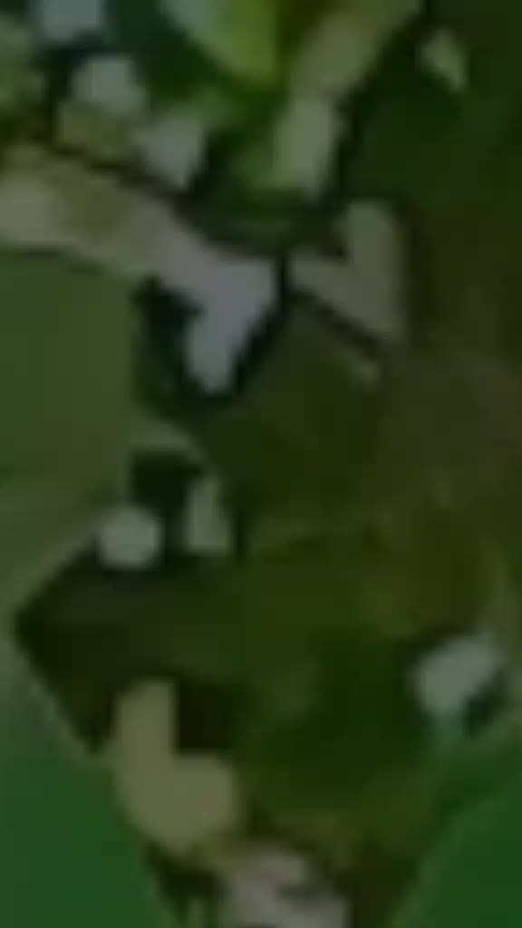 @𝙔𝙖𝙨𝙚𝙚𝙣 𝙠𝙝𝙖𝙣