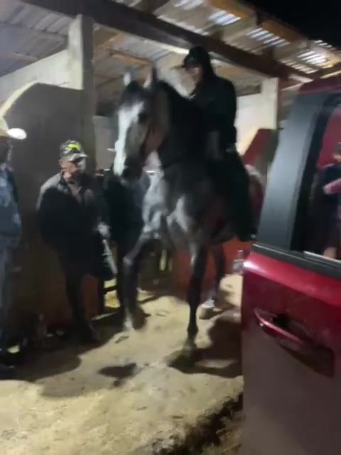 @Julio César