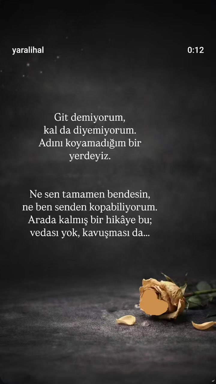 @Gül 34_28_🦁♥️💛♥️🦁