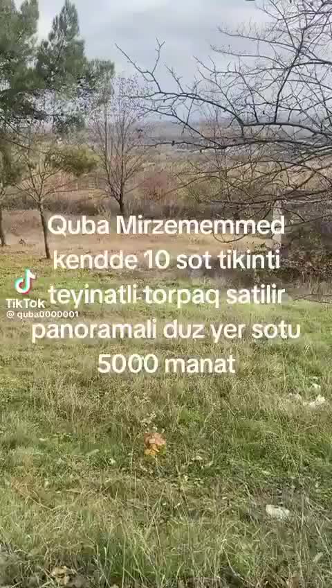 @Feran Mehtiyev
