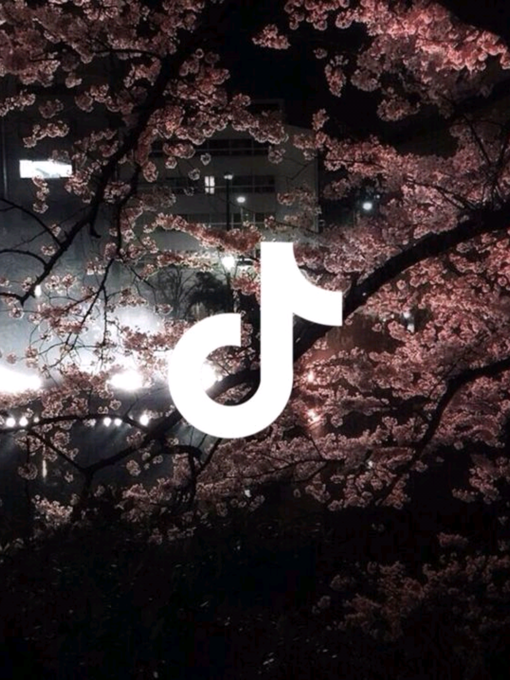 @𝚀𝚞𝚛𝚘𝚗