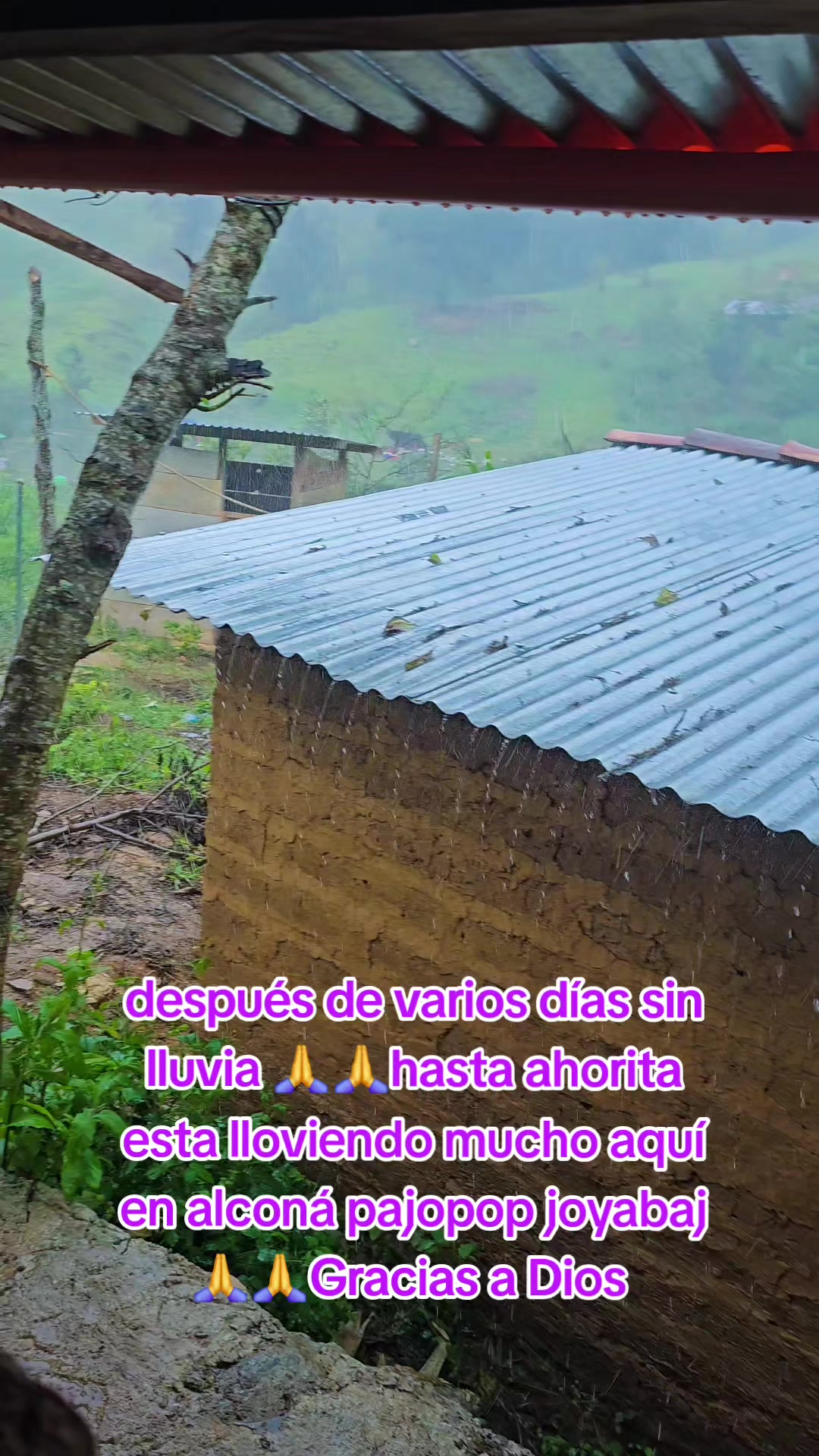 @Samuel Miranda Lorenzo