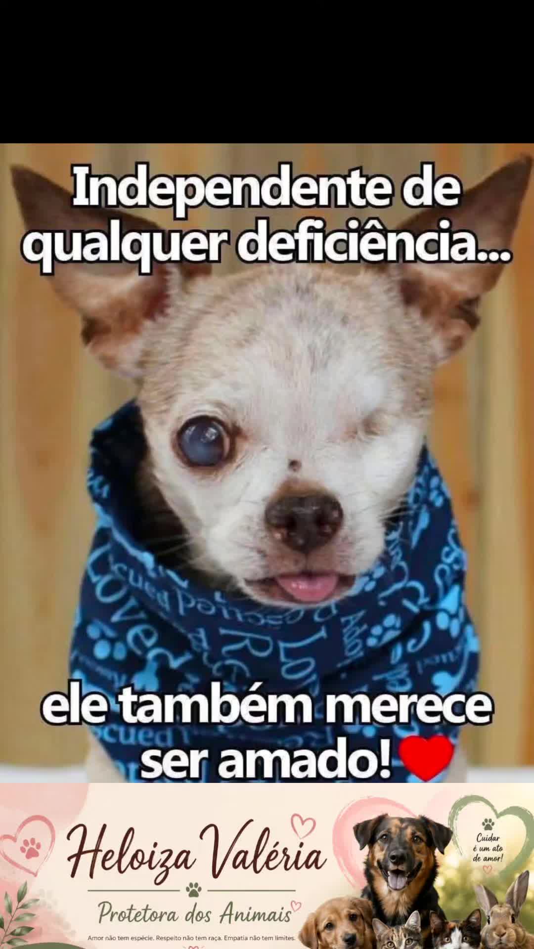 @Heloiza Valeria