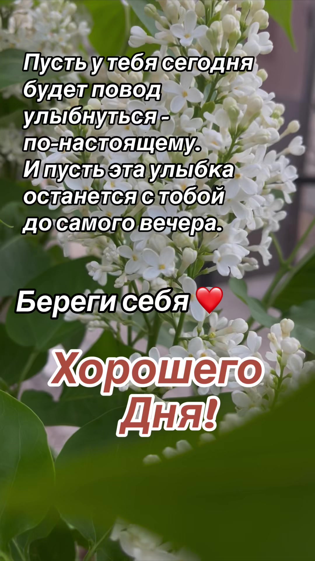 @Елена