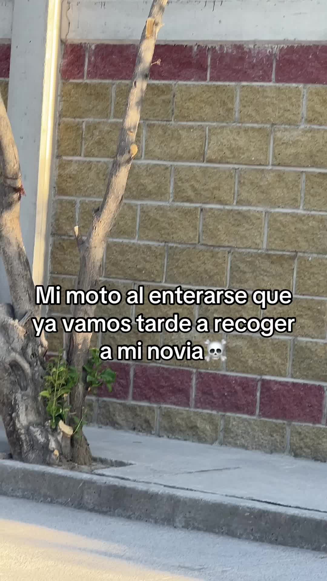 @𝐌𝐀𝐍𝐔𝐄𝐋