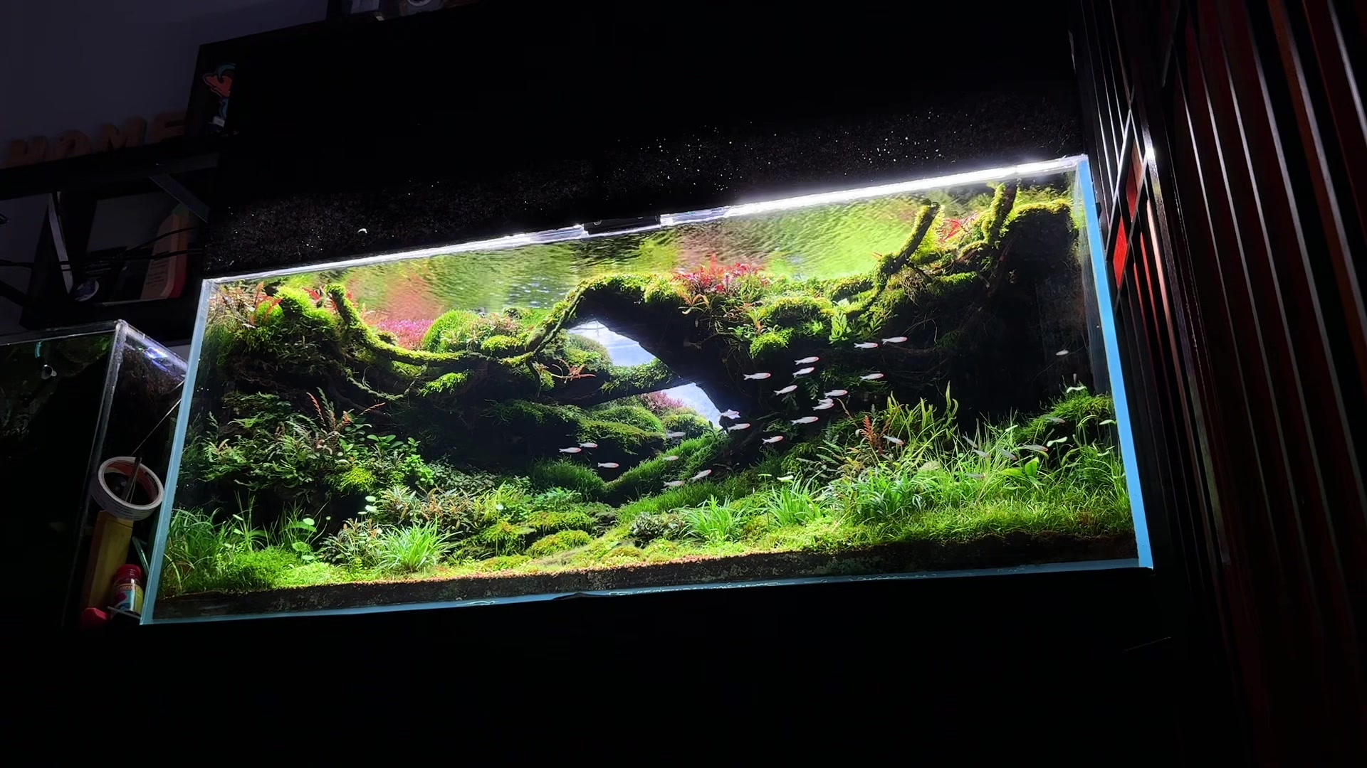 @Visuallscape
