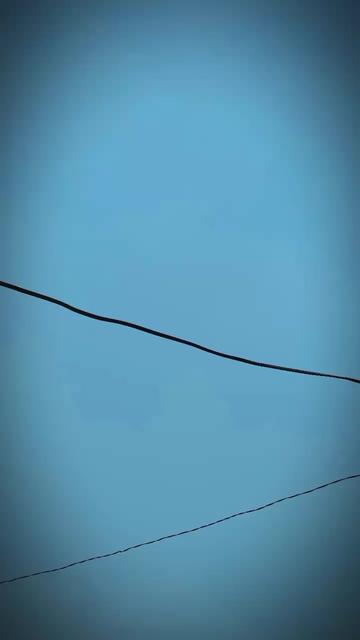 @🌜✨ مخلص تھی 💔🌛✨